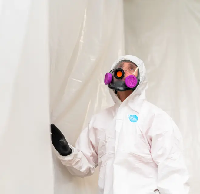 Rainbow Restoration professional cleaning mold.