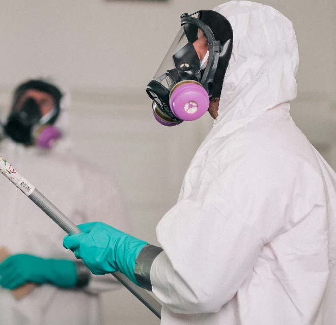 Rainbow Restoration service professional removing mold.